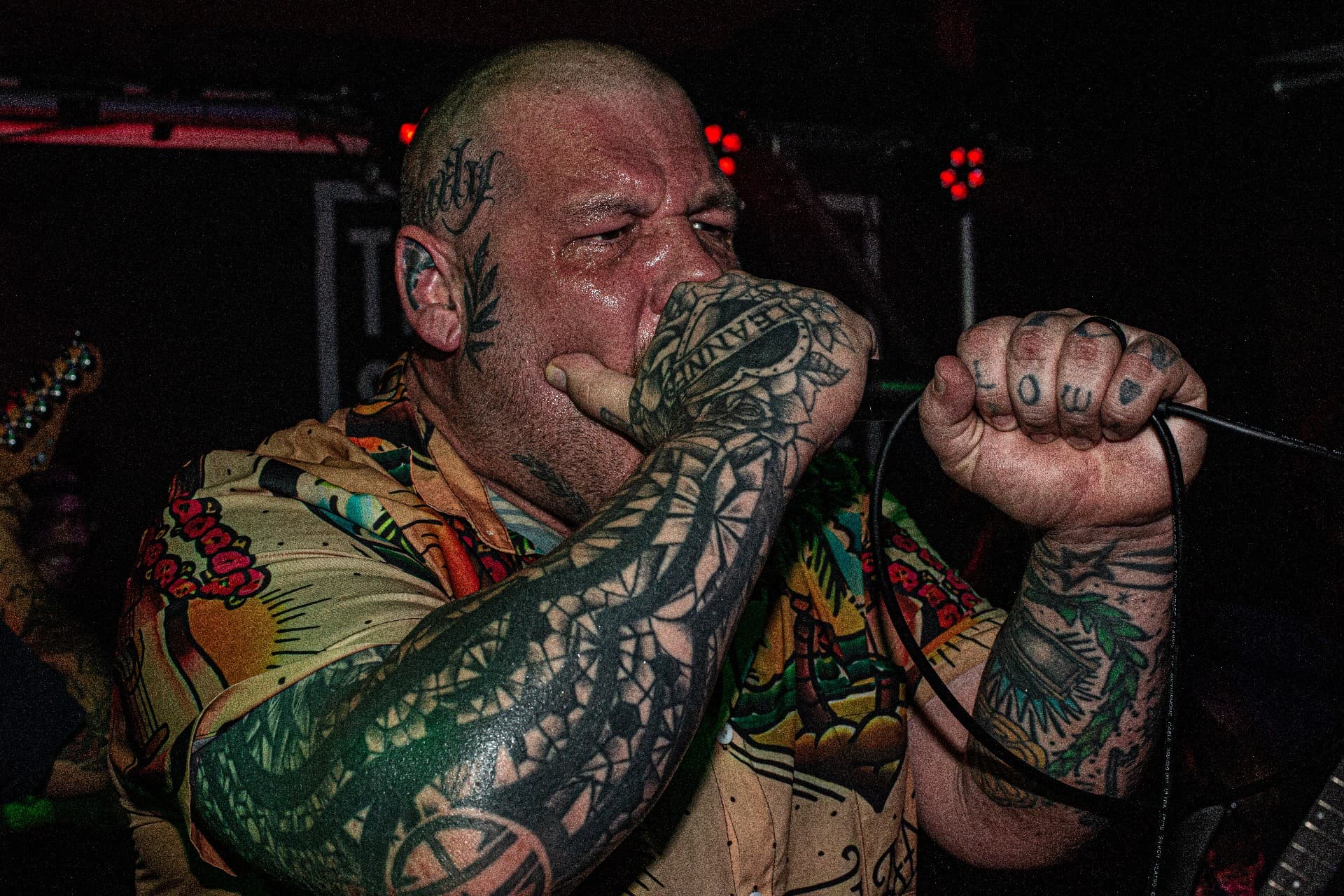 In The Pit — photo 25