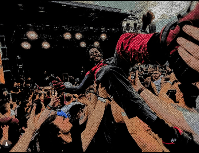 Crowd lifting a fan overhead at a show